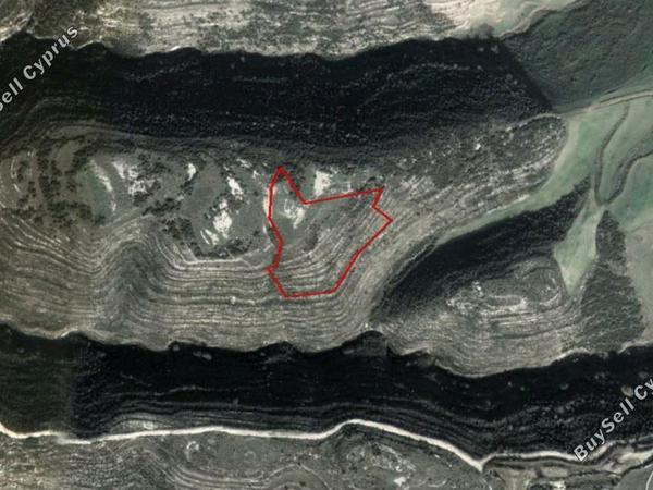 land for sale kathikas paphos 828051 image 2808096
