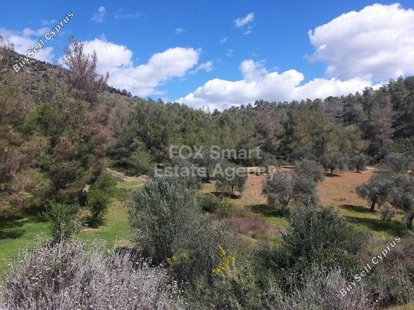 land for sale lythrodontas nicosia 1152051 image 5146554