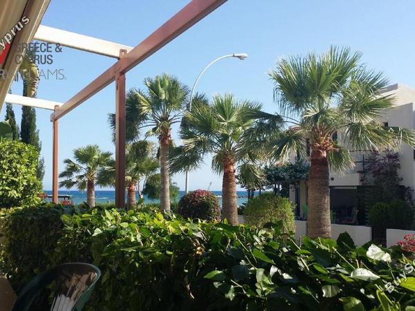 4 bedroom detached house for sale dekeleia larnaca 8081151 image 16133889