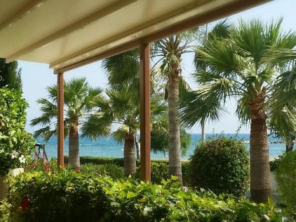 4 bedroom detached house for sale dekeleia larnaca 8081151 image 16133890
