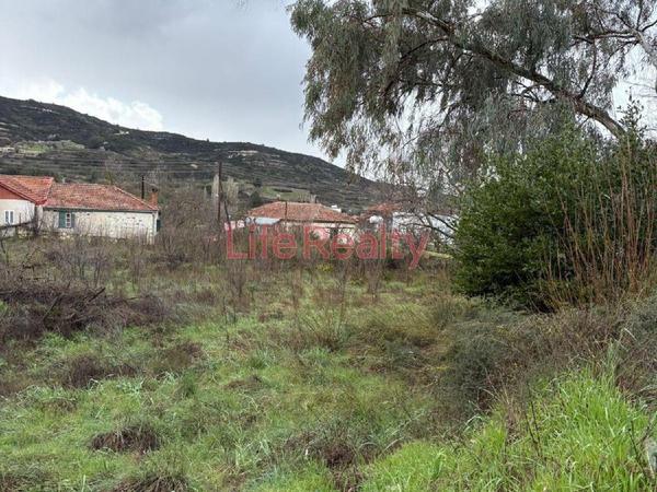land for sale mandria lemesou limassol 8598151 image 16562000