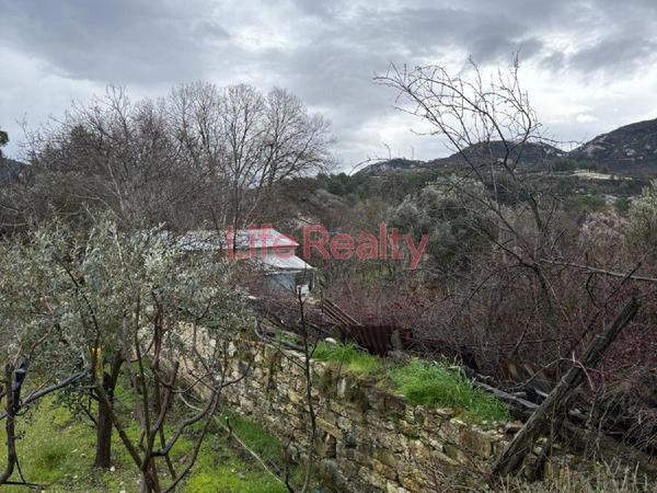 land for sale mandria lemesou limassol 8598151 image 16562003