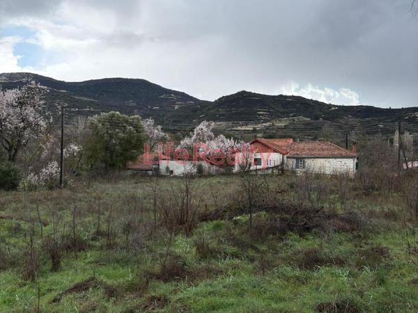 land for sale mandria lemesou limassol 8598151 image 16562004