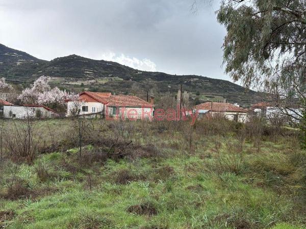 land for sale mandria lemesou limassol 8598151 image 16562006