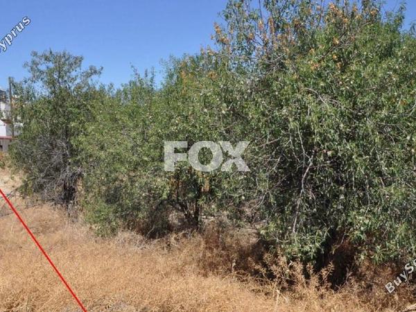 land for sale prodromi paphos 1160151 image 5537444