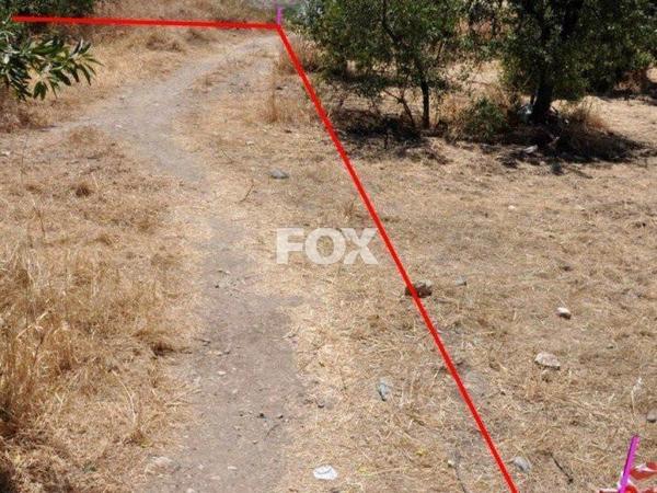 land for sale prodromi paphos 1160151 image 5537456