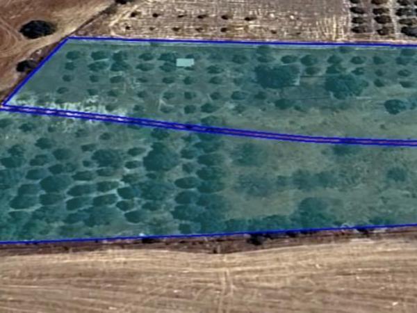 land for sale pyla larnaca 1308151 image 16192185