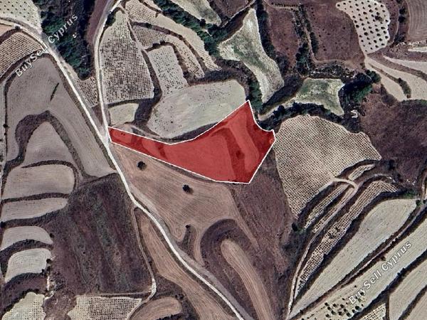 land for sale stroumbi paphos 8532151 image 16306063