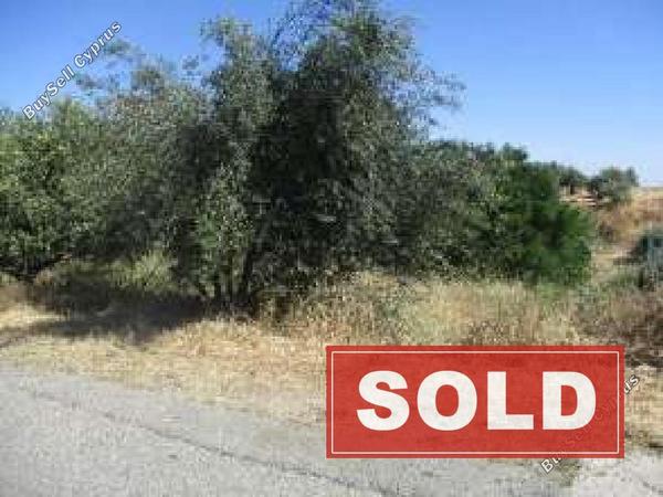 land sold kalo chorio oreinis nicosia 1270151 image 3003744