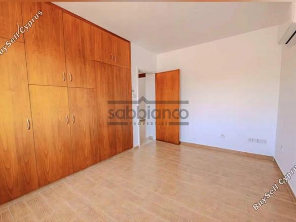 2 bedroom apartment for rent kato lakatamia nicosia 8749251 image 16474277
