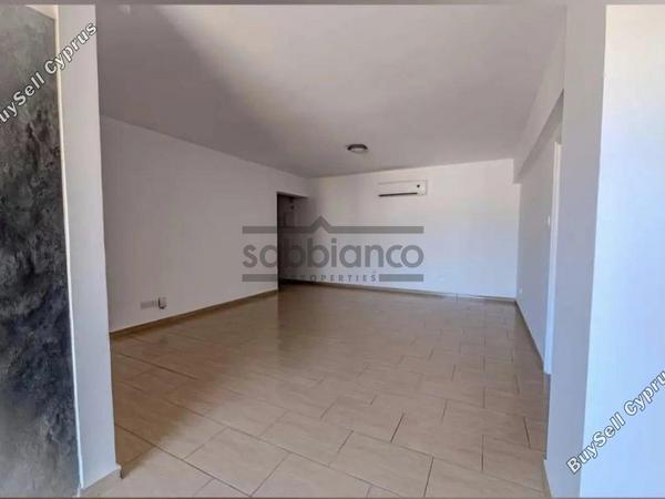 2 bedroom apartment for rent kato lakatamia nicosia 8749251 image 16474291