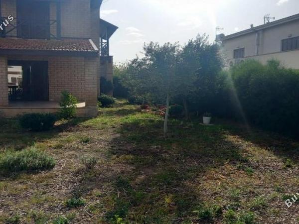 3 bedroom detached house for sale mammari nicosia 1754251 image 16176389