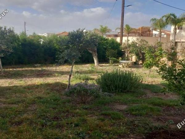 3 bedroom detached house for sale mammari nicosia 1754251 image 16249770