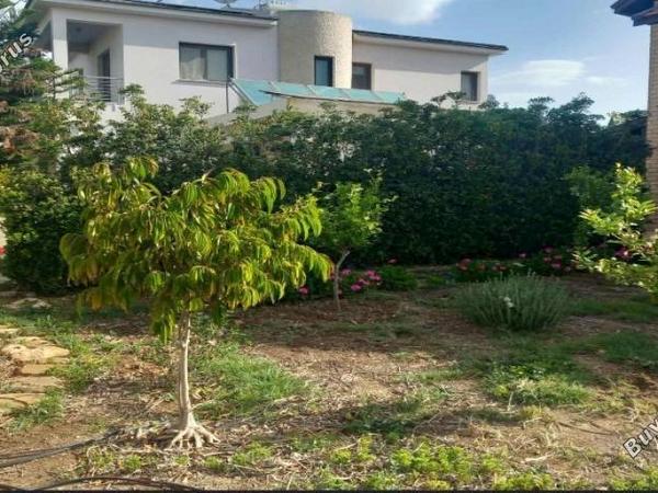 3 bedroom detached house for sale mammari nicosia 1754251 image 16249778