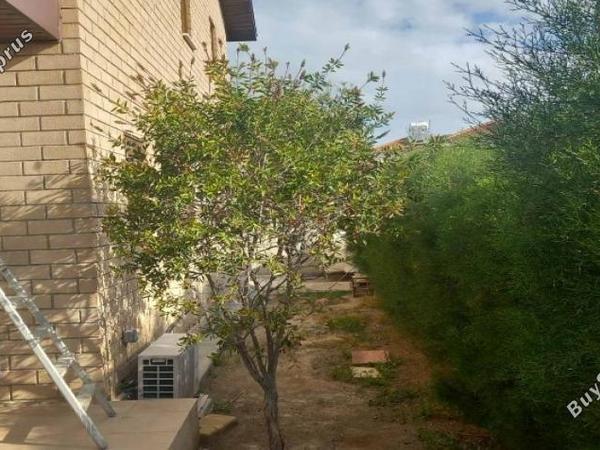 3 bedroom detached house for sale mammari nicosia 1754251 image 16249781