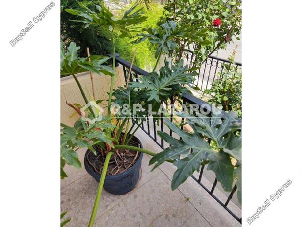3 bedroom town house for sale strovolos nicosia 1791251 image 6326353