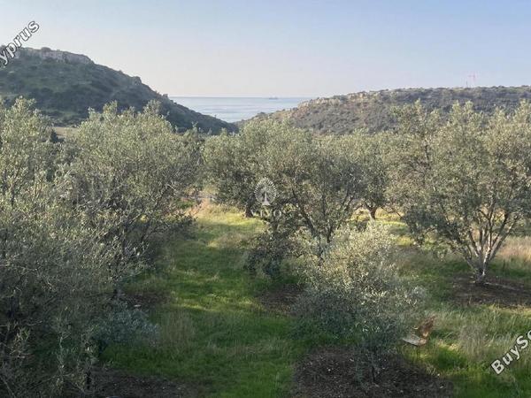 land for sale agios tychonas limassol 1910251 image 7375077