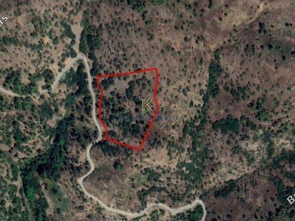 plot for sale pedoulas nicosia 1195251 image 5576740