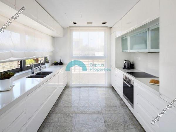 3 bedroom detached house for sale tsada paphos 9014351 image 18452176
