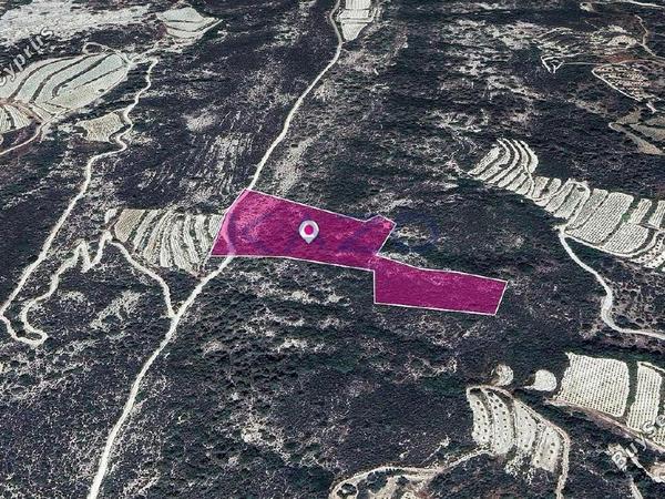 land for sale kapileio limassol 1736351 image 14877225