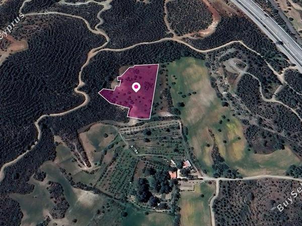 land for sale kofinou larnaca 8629351 image 15867463
