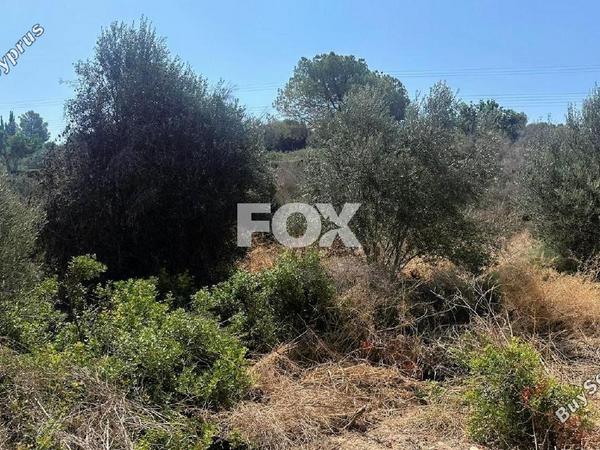 land for sale kouklia pafou paphos 1437351 image 10036156