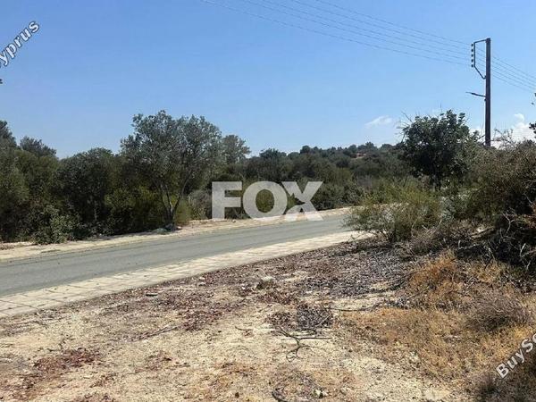 land for sale kouklia pafou paphos 1437351 image 10036161