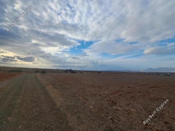 land for sale palaiometocho nicosia 8560351 image 15577311