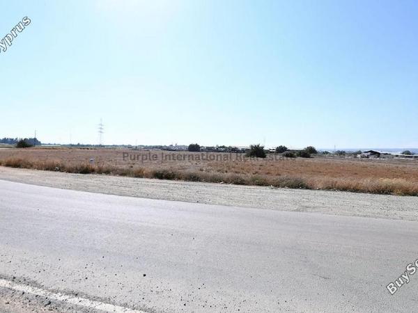 land for sale ypsonas limassol 7544351 image 17674448