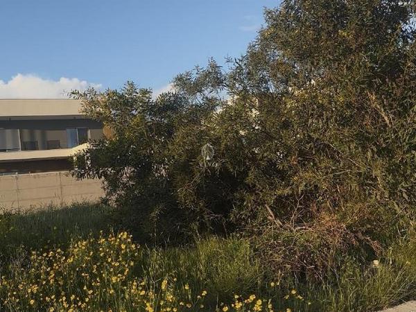 plot for sale germasogeia limassol 979351 image 15011798