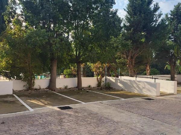 1 bedroom apartment for rent tersefanou larnaca 8738451 image 16361891