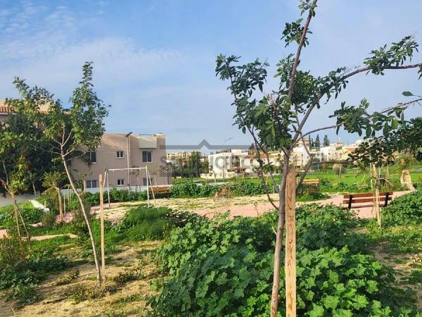 1 bedroom apartment for rent tersefanou larnaca 8738451 image 16361892