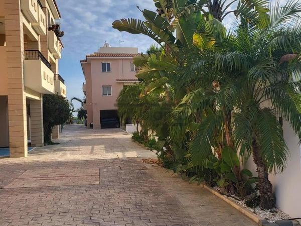 1 bedroom apartment for rent tersefanou larnaca 8738451 image 16361912