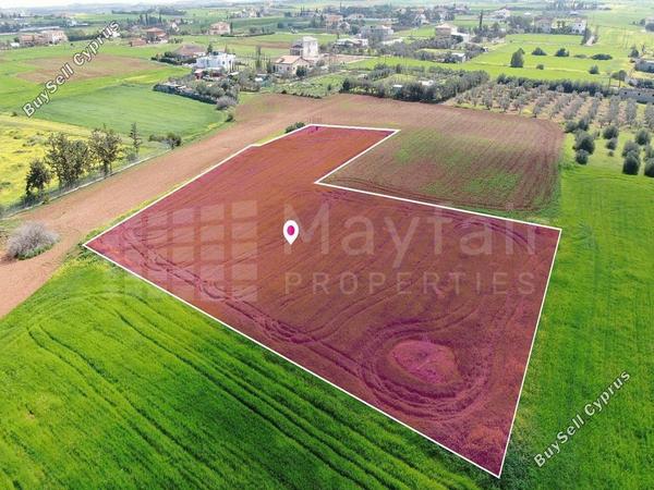 land for sale agioi trimithias nicosia 7872451 image 11385281