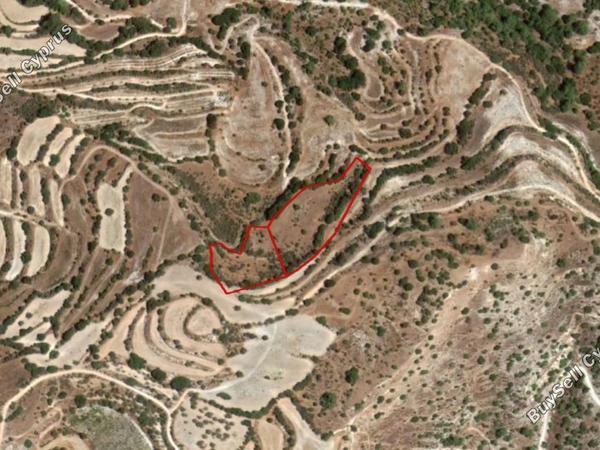 land for sale amargeti paphos 828451 image 15177842