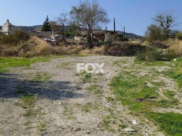 land for sale arminou paphos 1270451 image 10033445