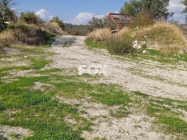 land for sale arminou paphos 1270451 image 10033446
