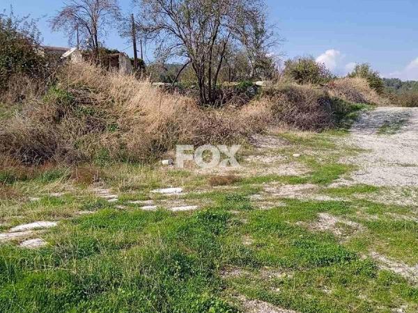 land for sale arminou paphos 1270451 image 10033452