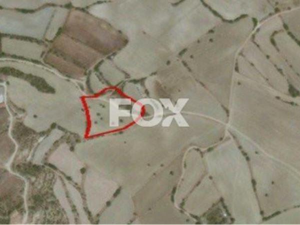 land for sale pissouri limassol 1159451 image 5523796