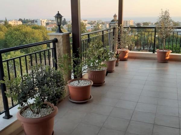 4 bedroom penthouse for sale paphos municipality paphos 8645551 image 16431424