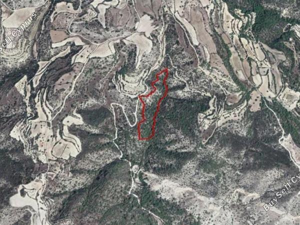 land for sale amargeti paphos 8649551 image 17113360