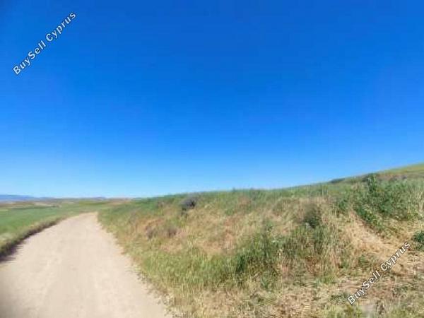 land for sale orounta nicosia 8726551 image 16331984