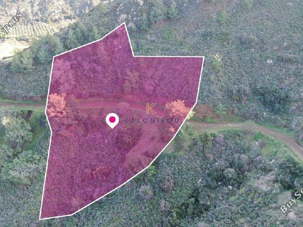 land for sale pigenia nicosia 1650551 image 5671690