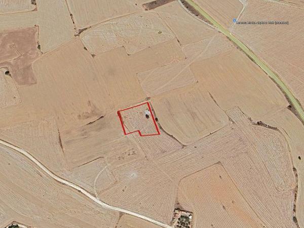 land for sale tersefanou larnaca 8447551 image 15067906