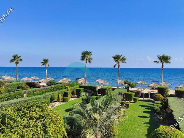 3 bedroom detached house for sale mazotos larnaca 1174651 image 7133114