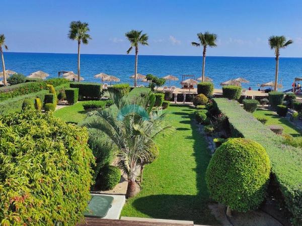 3 bedroom detached house for sale mazotos larnaca 1174651 image 7133128