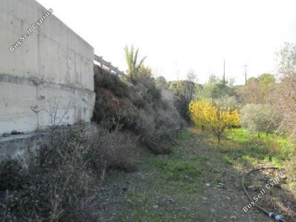 land for sale agioi vavatsinias larnaca 8726651 image 16333113