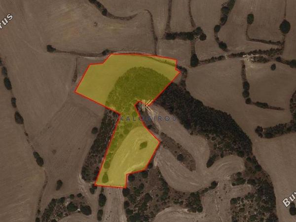 land for sale agios theodoros larnacas larnaca 8468651 image 15193590