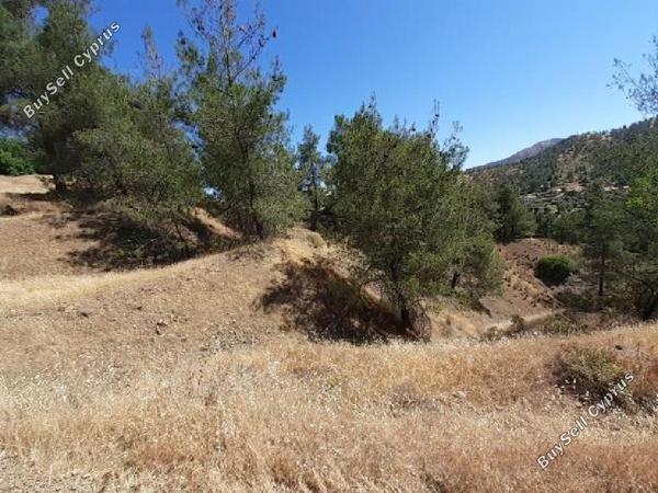 land for sale agios theodoros soleas nicosia 945651 image 7334286
