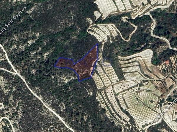 land for sale kapileio limassol 8237651 image 13801752